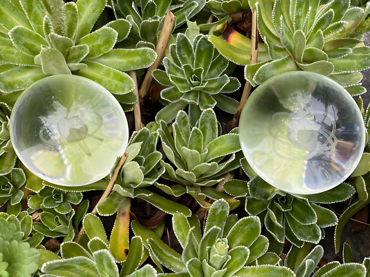 Elektrosmog a 5G: Jak najít klid v době bezdrátové?